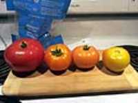jardin_tomates_9