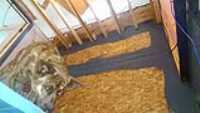 mezzanine_exterior_wall_done