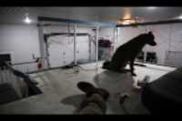 mezzanine_top_down