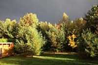 rain_sun_backyard