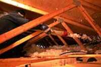 roof_insulation_shooting_wool_2