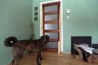 studio_door