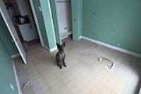 studio_empty_floor_linoleum