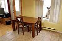 table_cuisine