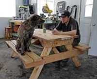 table_dog_garage_elz
