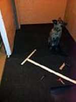 tapis_sous-sol_1