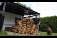 wood_pile