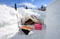 wood_stash_under_snow