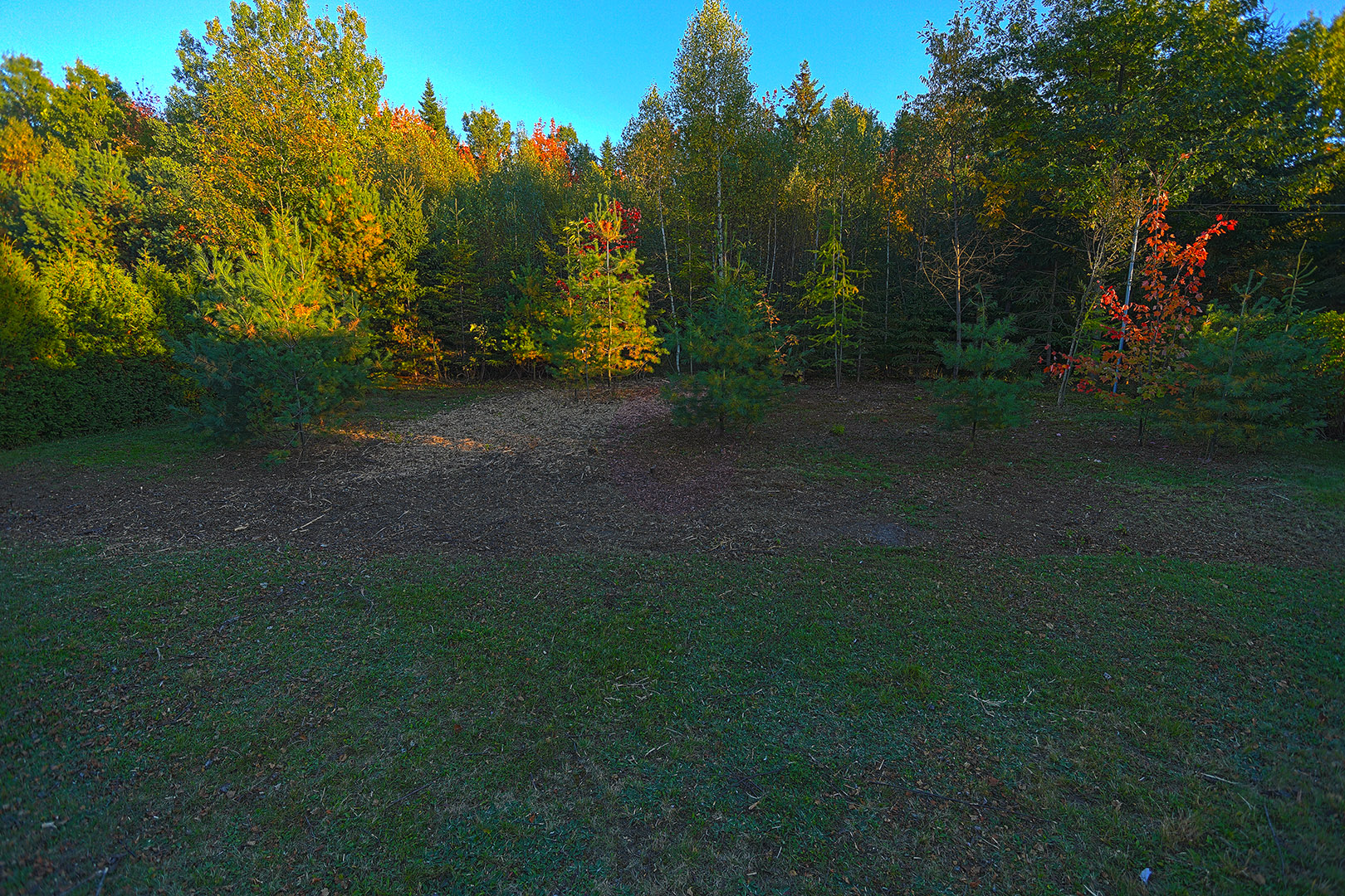 backyard_hdr