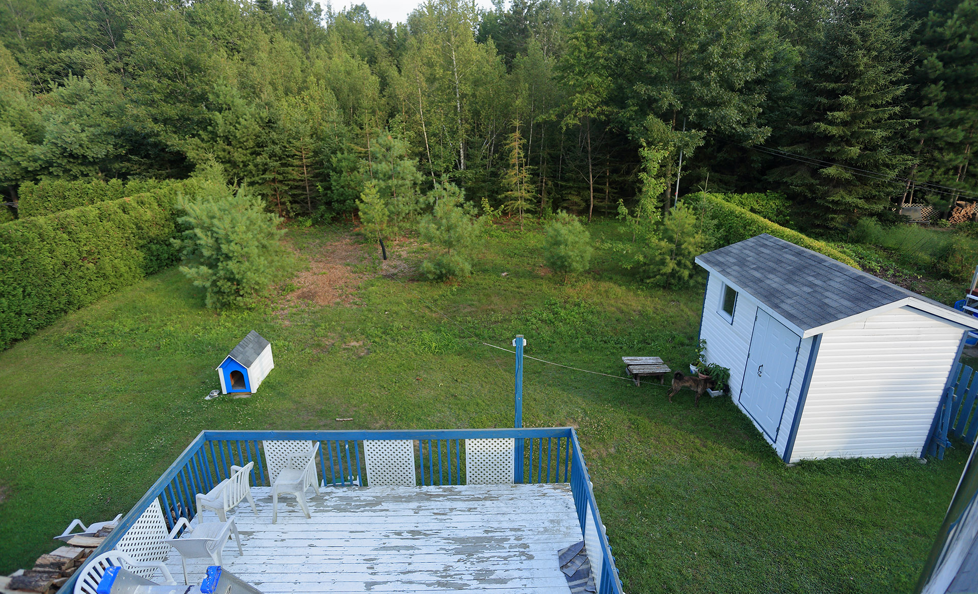 backyard_roof
