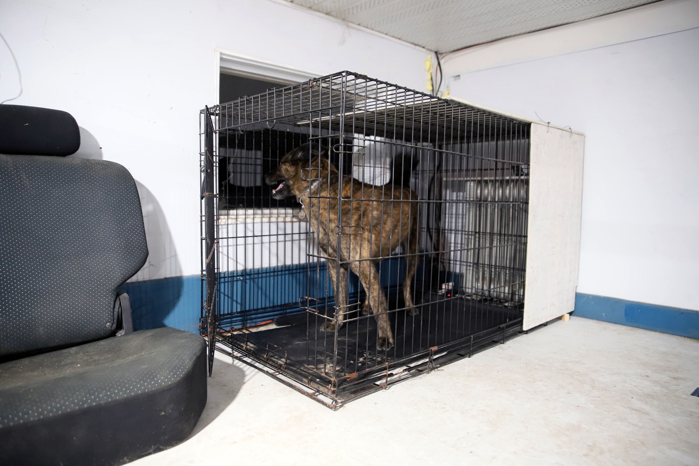 beryl_cage_night_garage