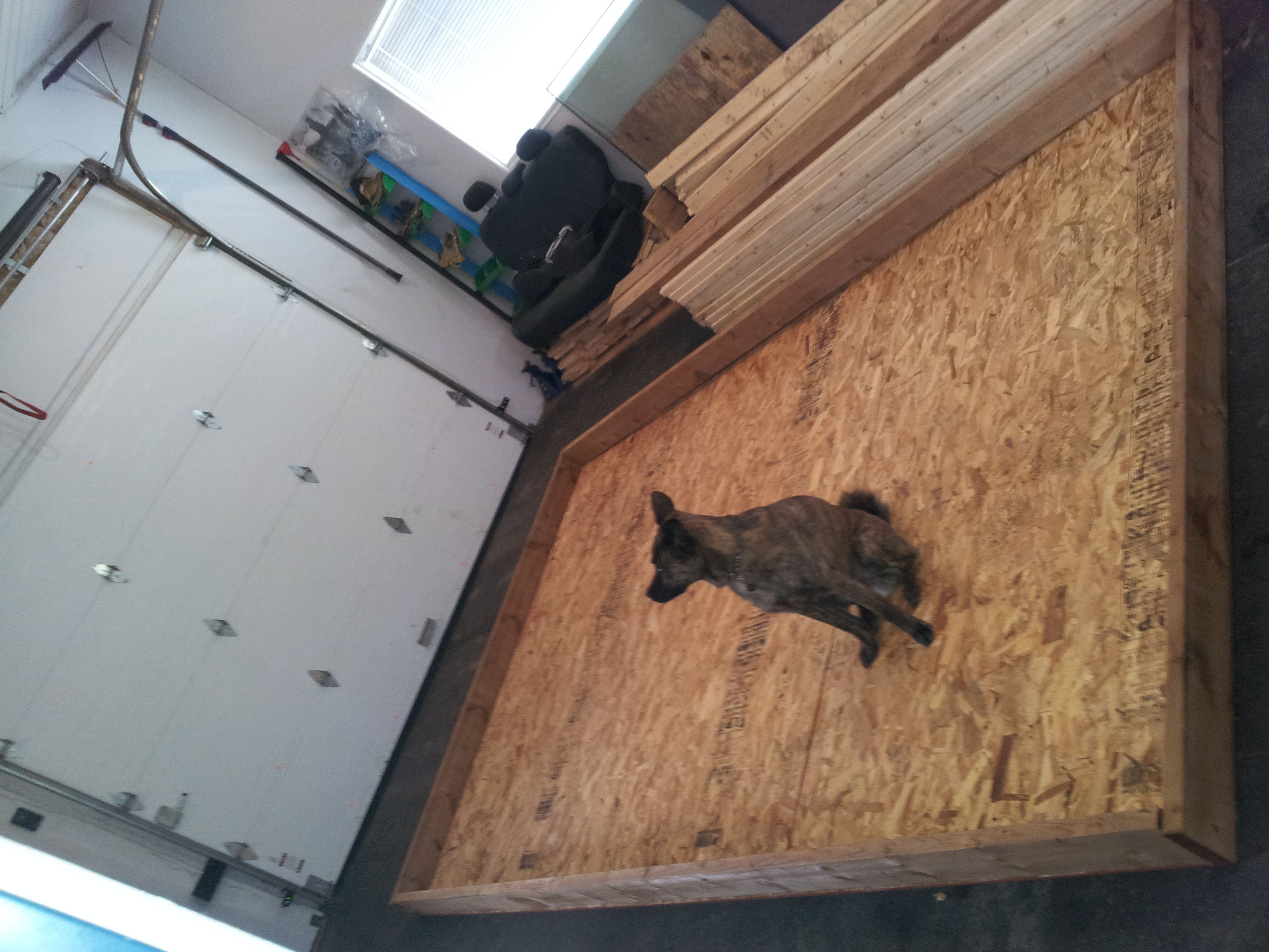 cabanon_construction_1