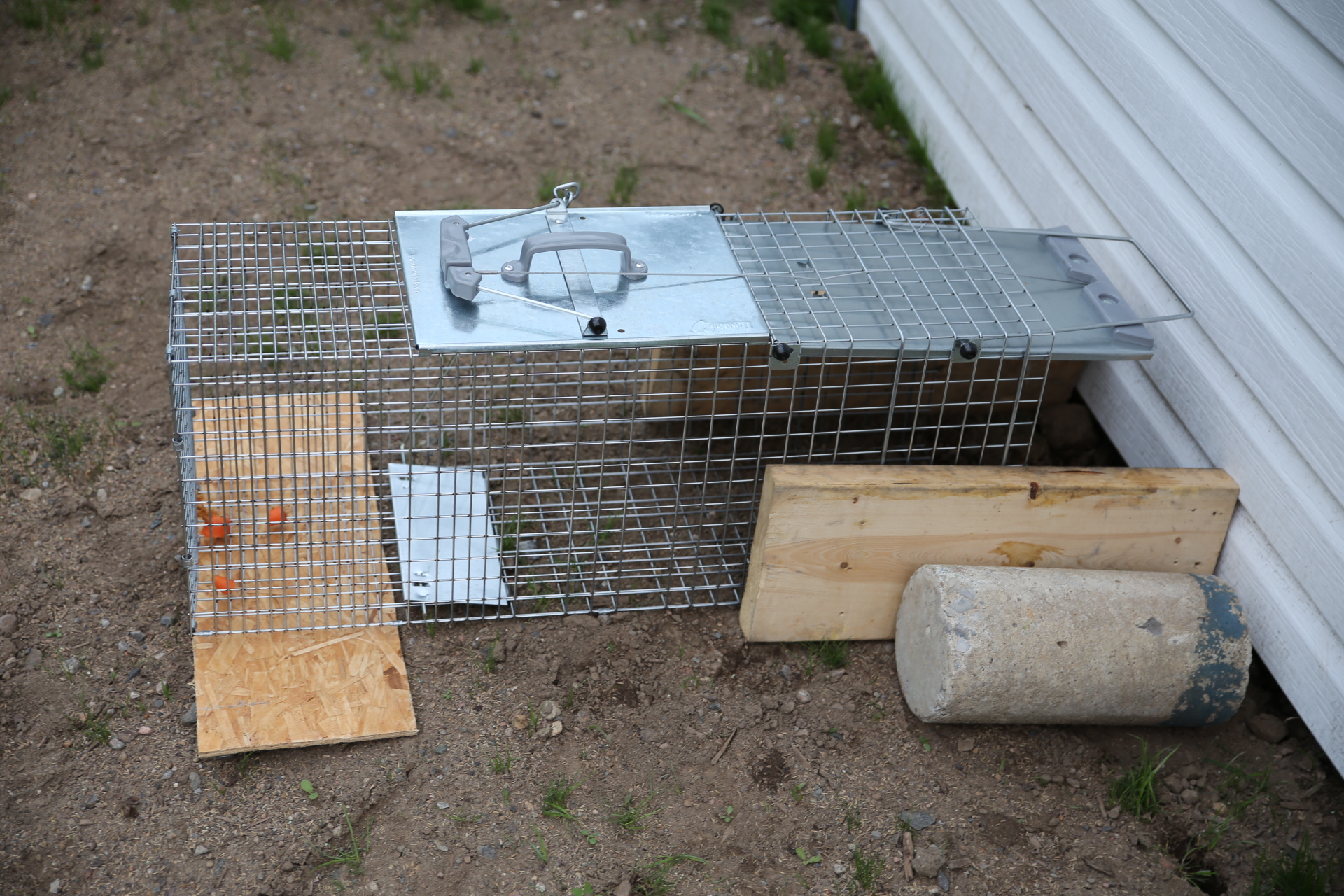 cage_marmotte_cabanon
