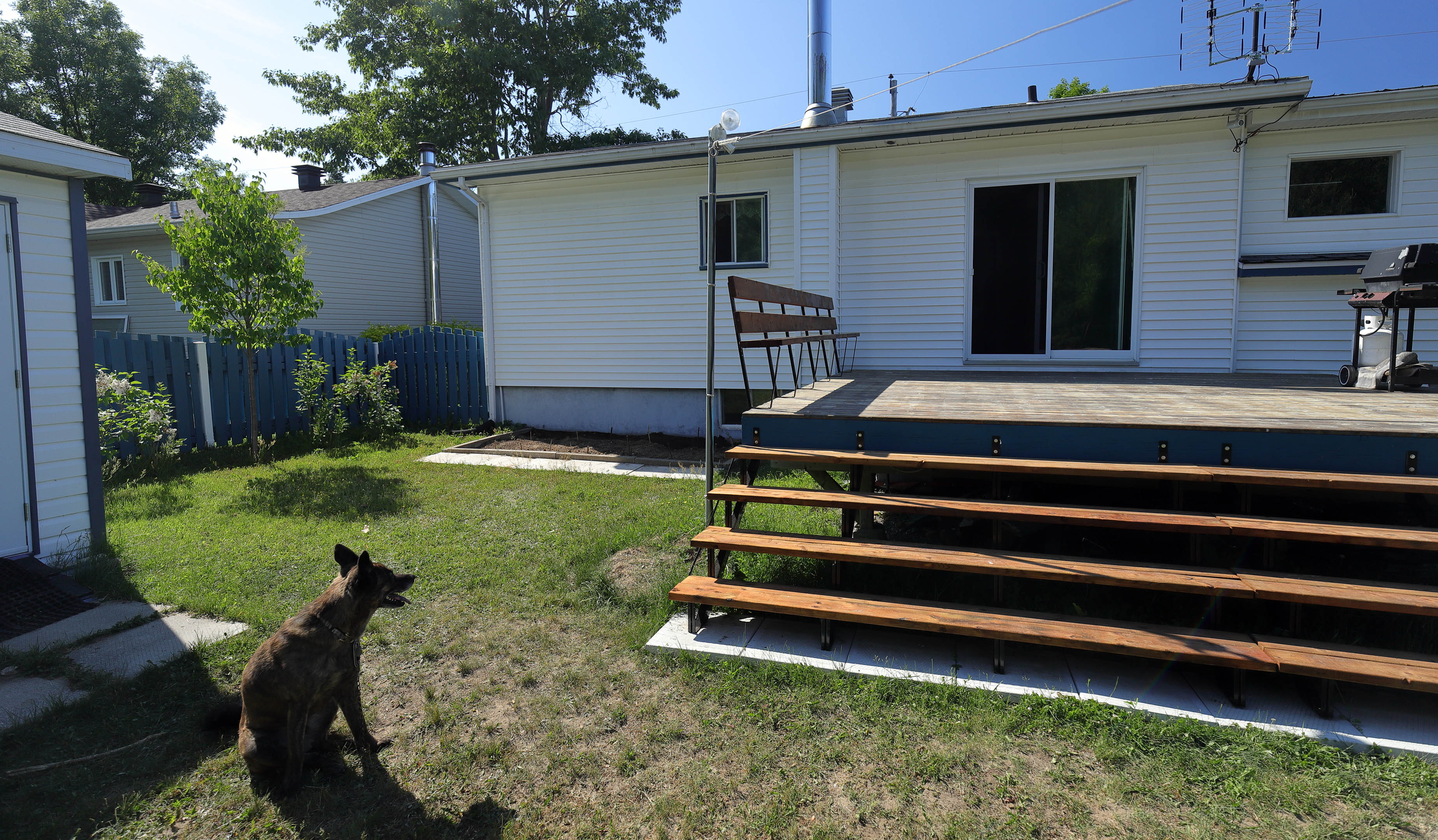 clean_siding_double_garden_painted_fence