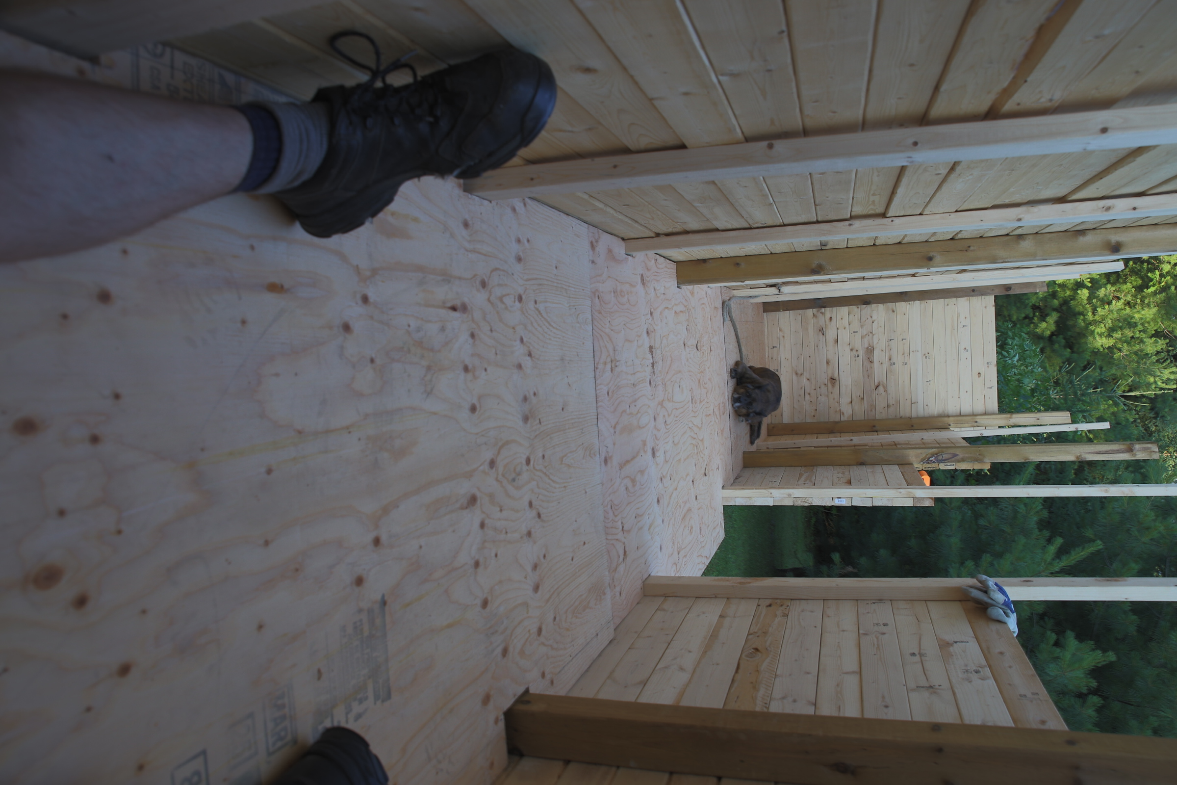 firewood_shed_floor_sheating_all