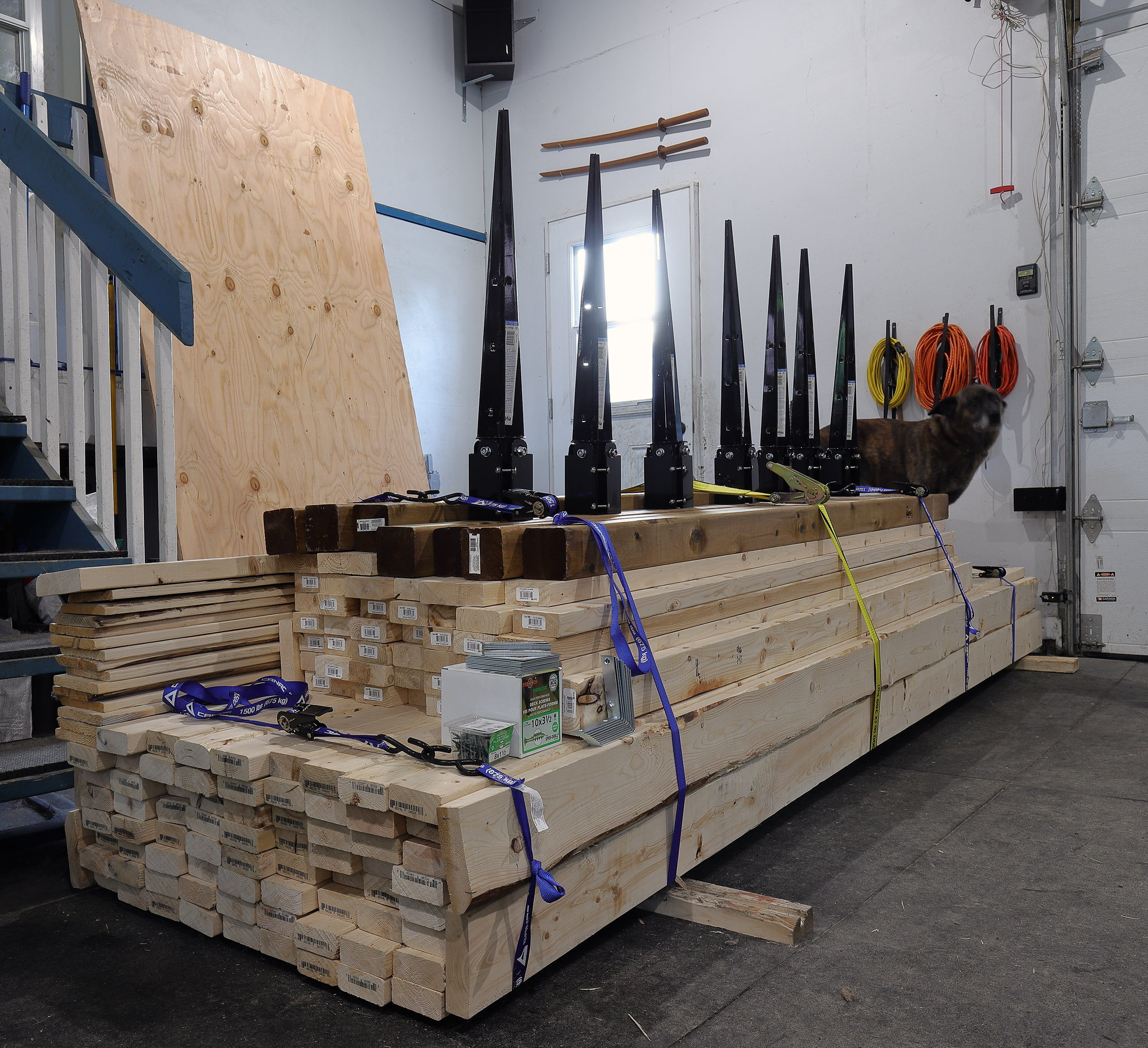 firewood_shed_stacked_tied_pile