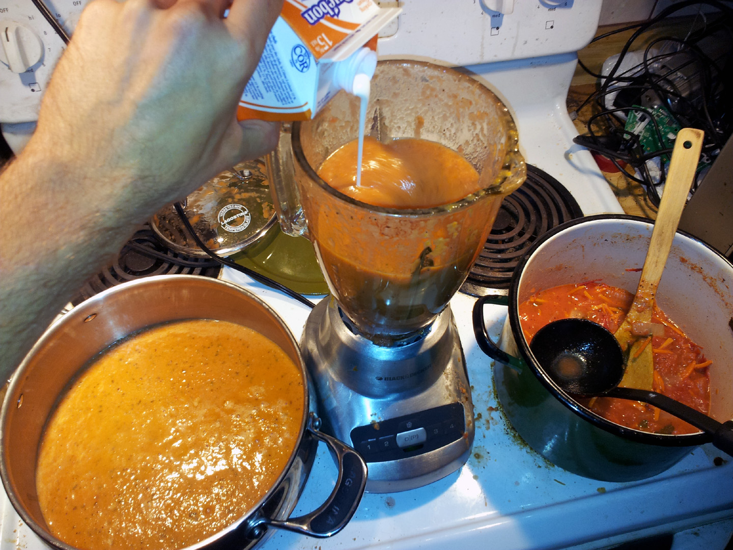 jardin_tomates_11