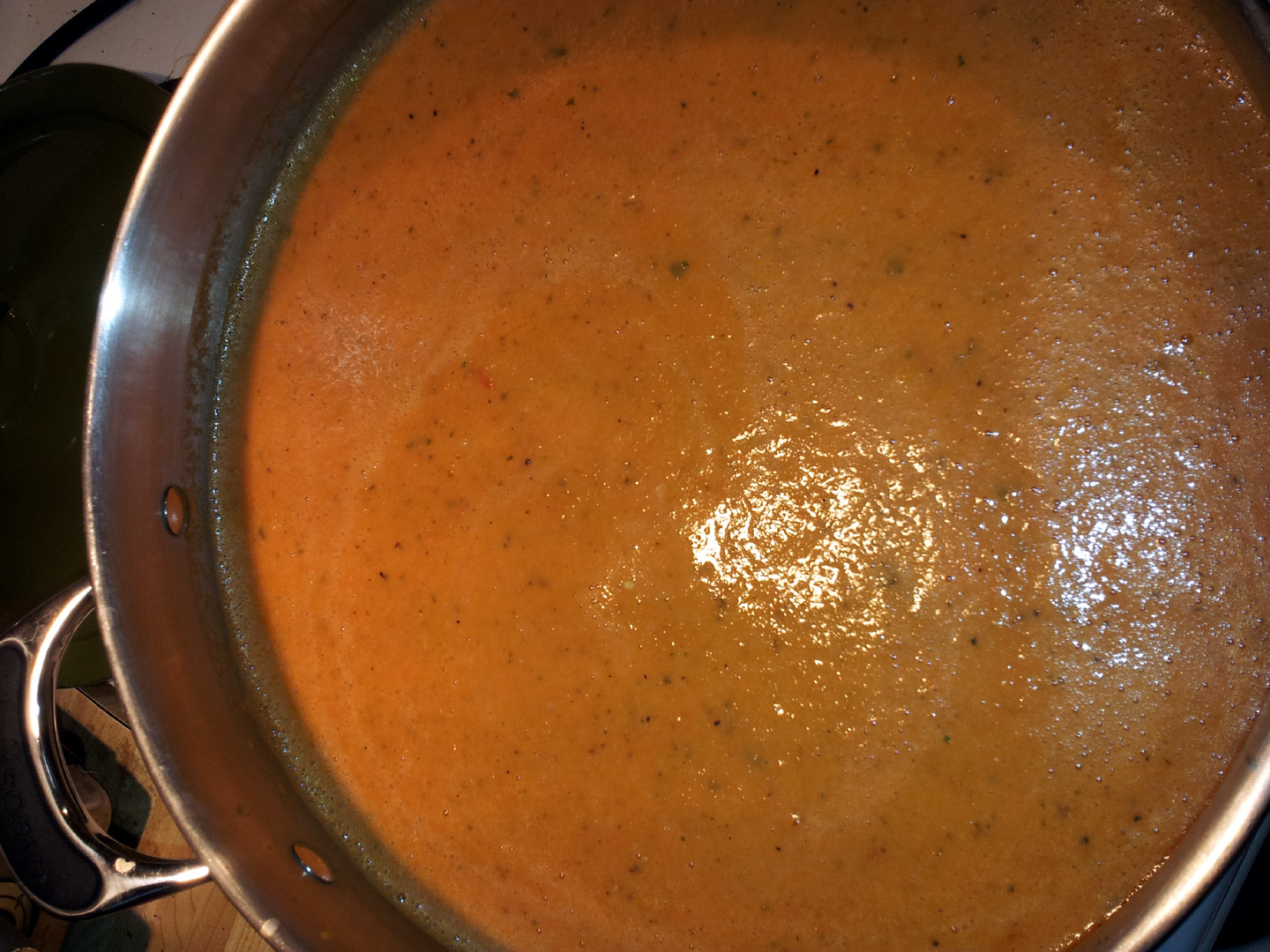 jardin_tomates_12