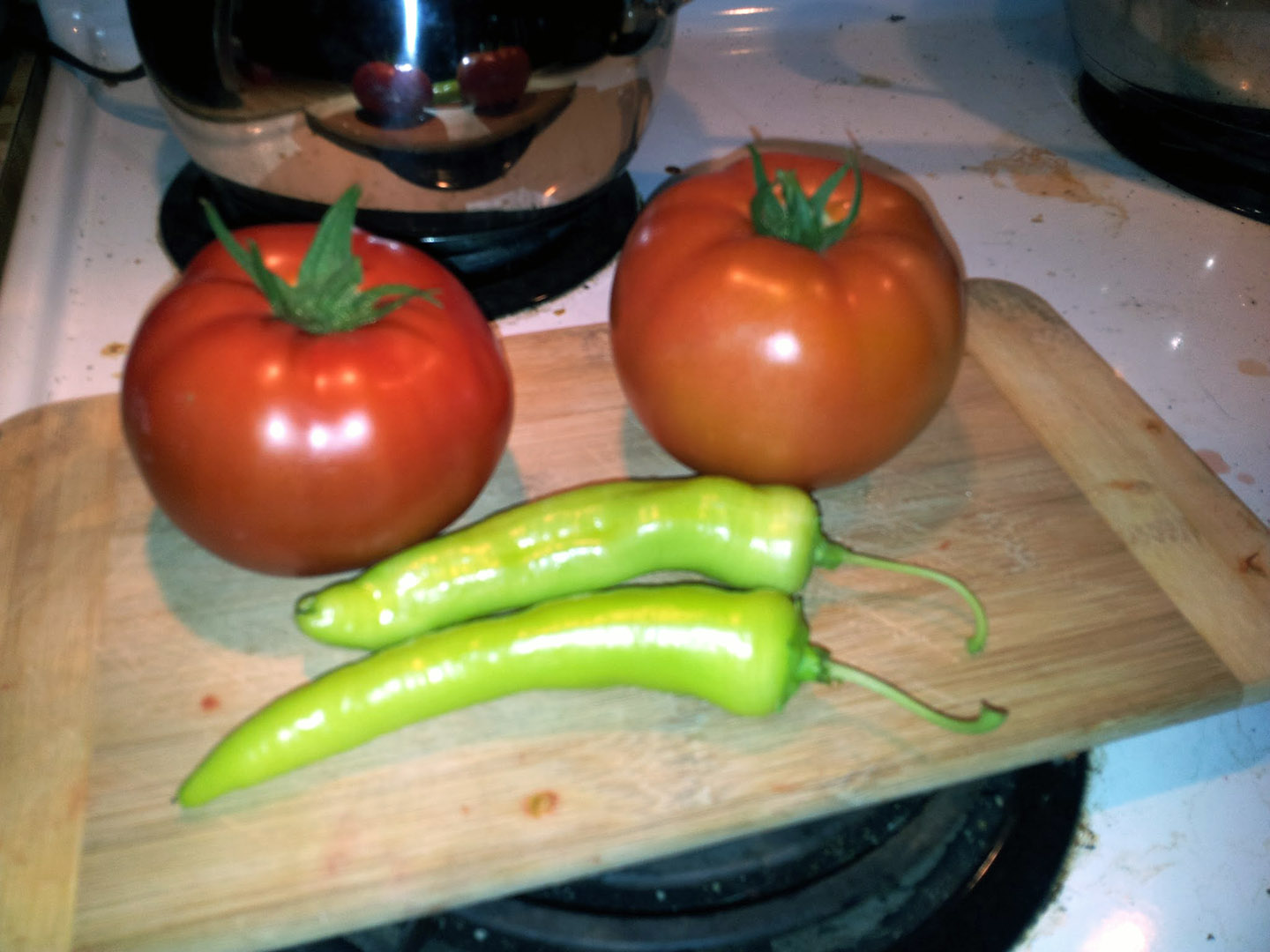 jardin_tomates_13