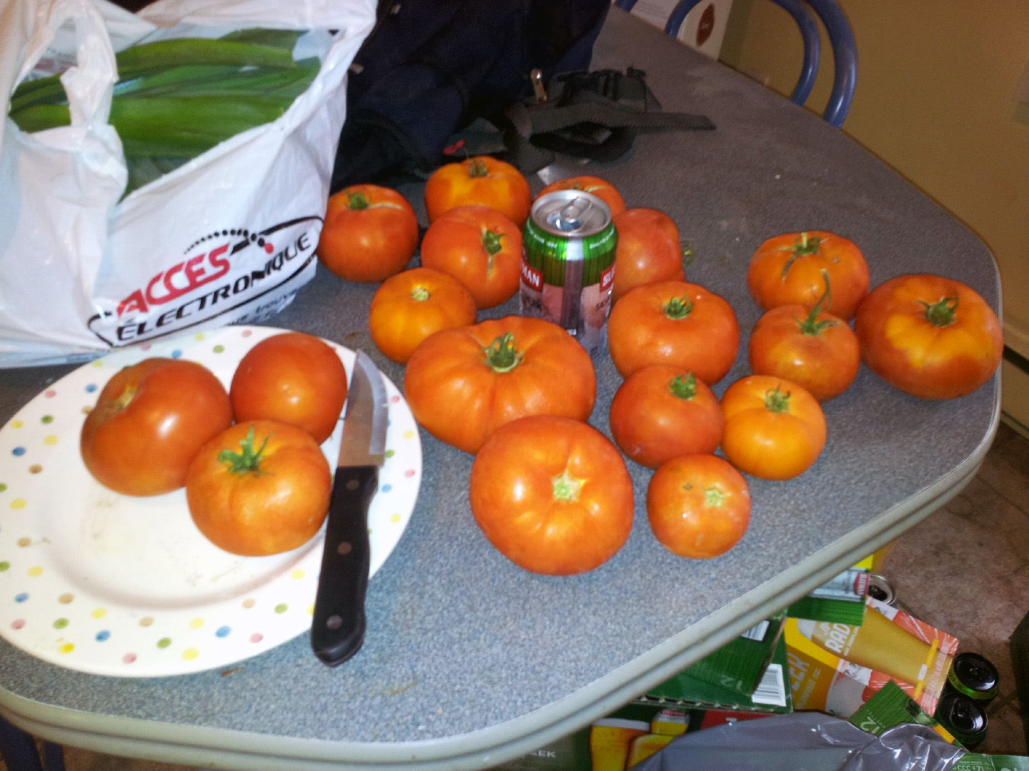 jardin_tomates_14
