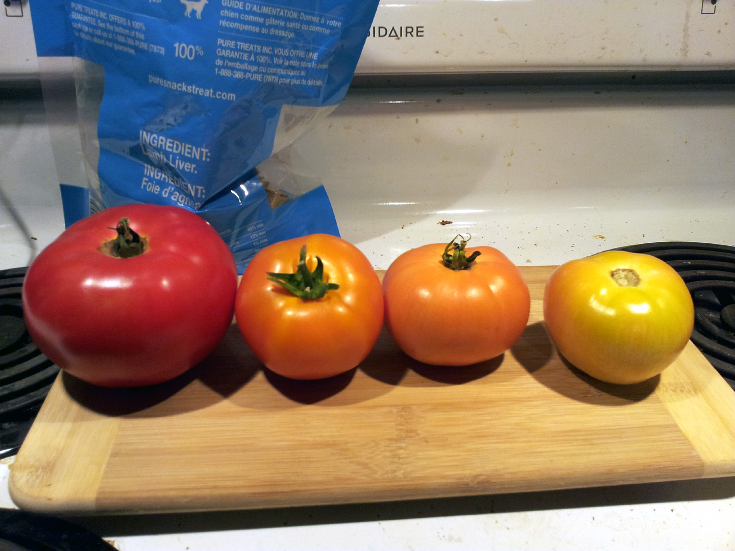 jardin_tomates_9