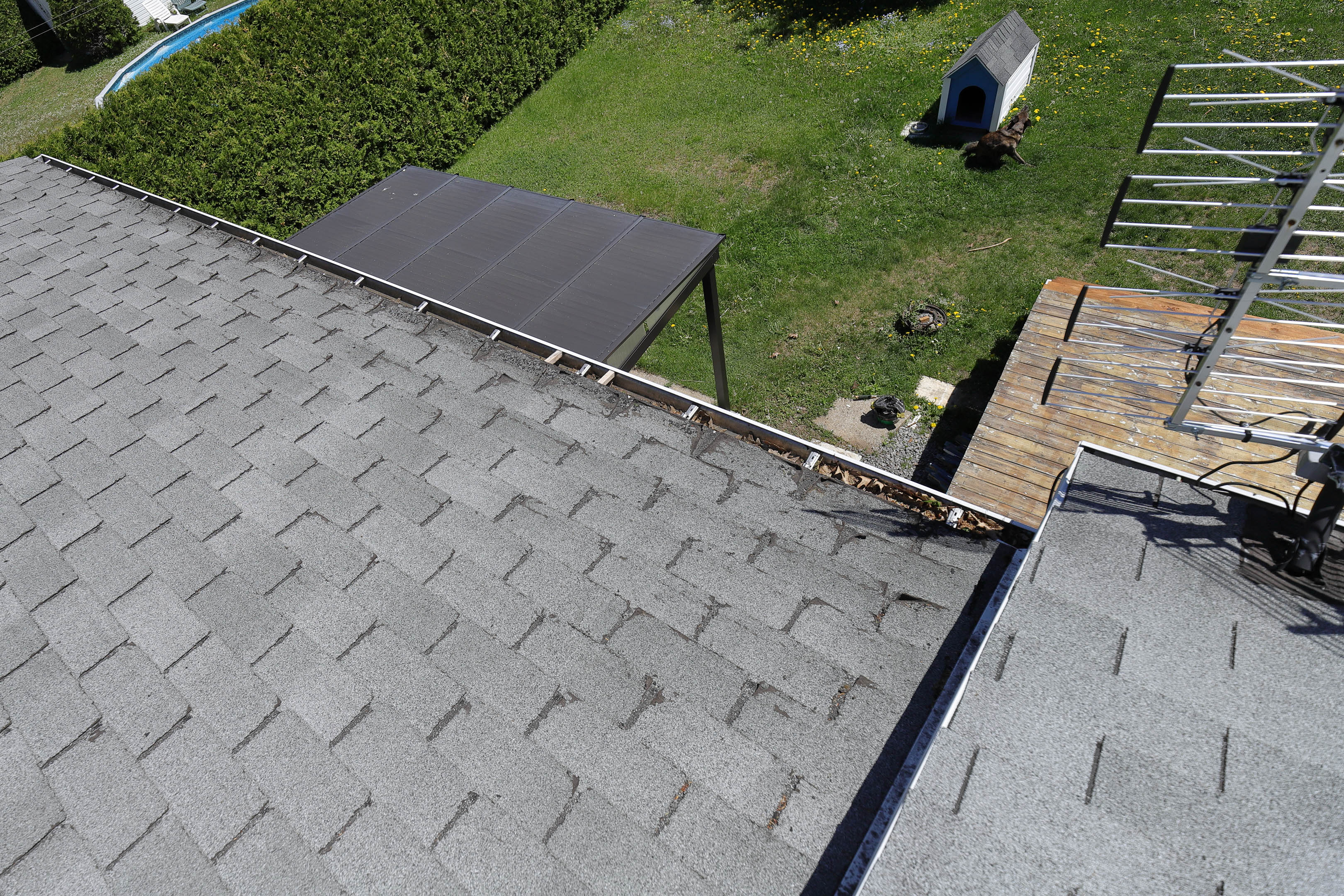 leaking_gutter_worned_roof_shingles