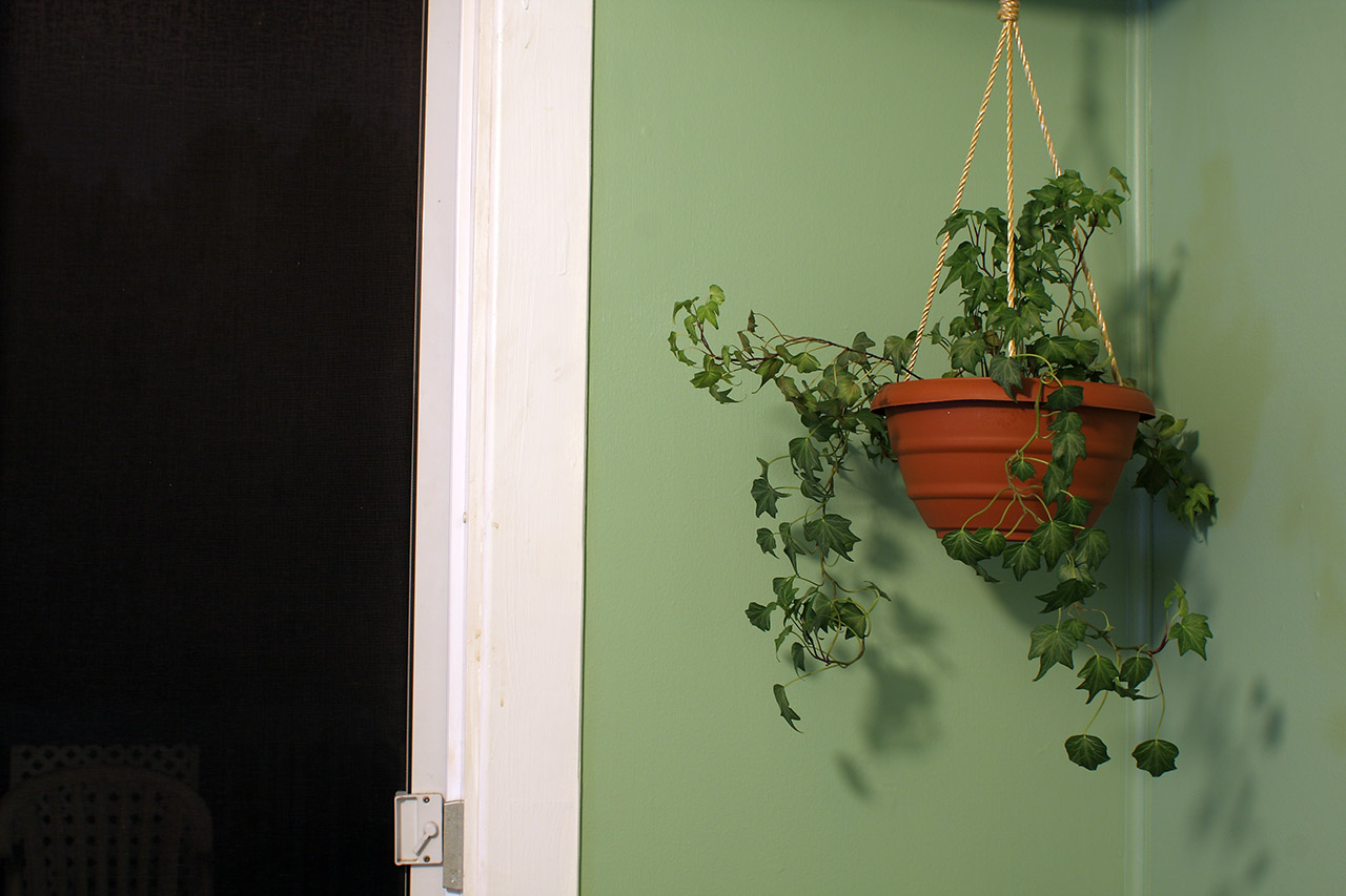 mighty_plant