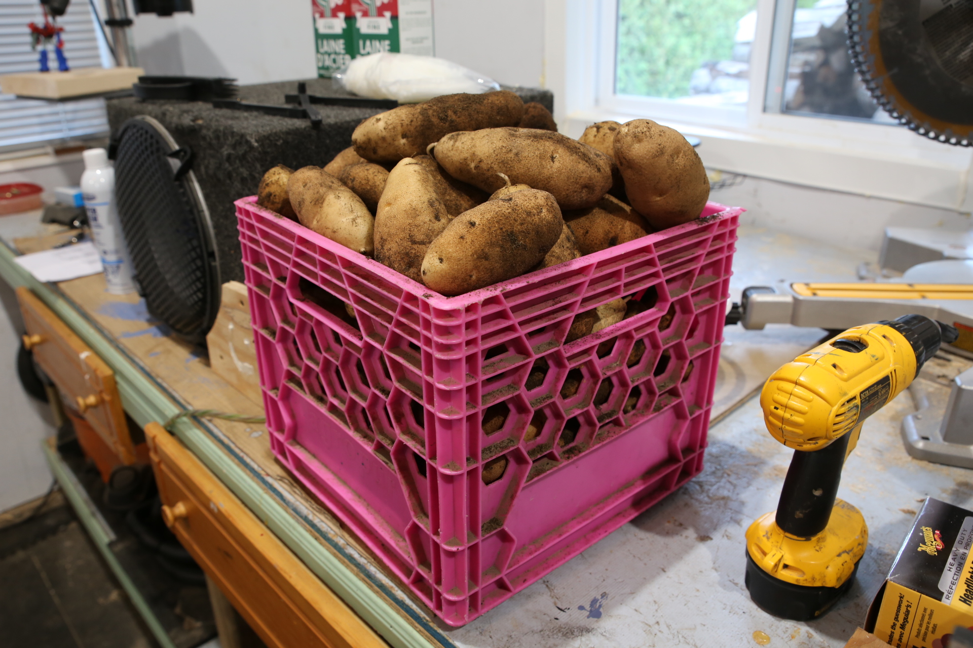 patates_jardins_bac_lait