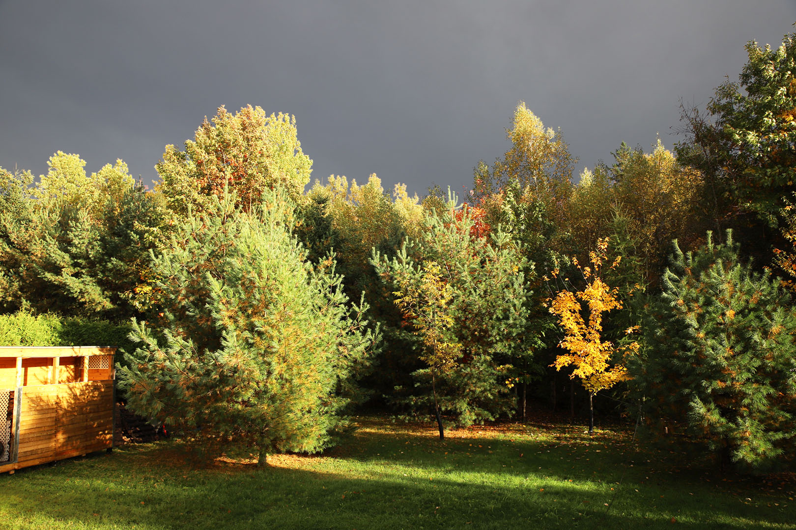 rain_sun_backyard