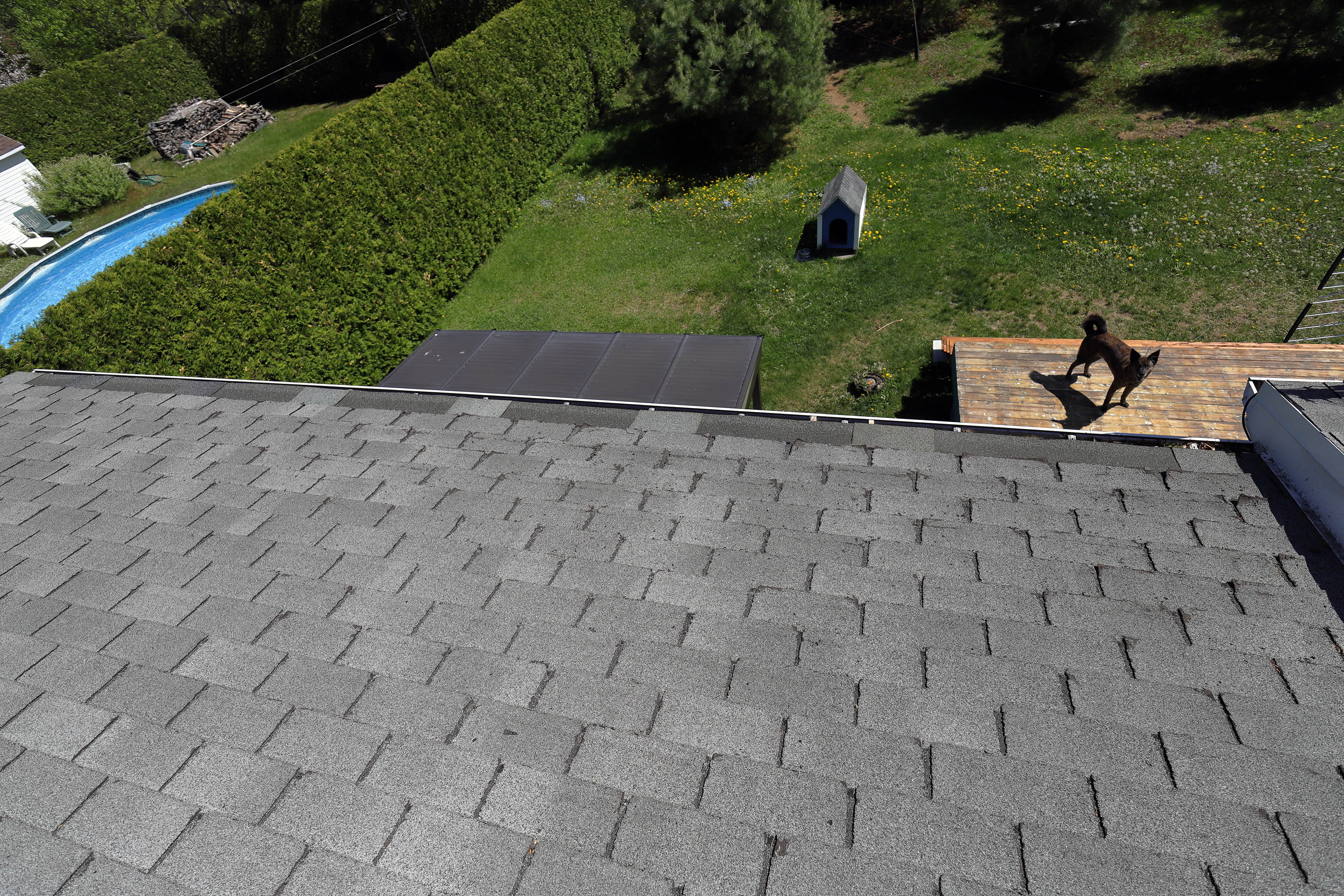 repaired_gutter_roof_shingles
