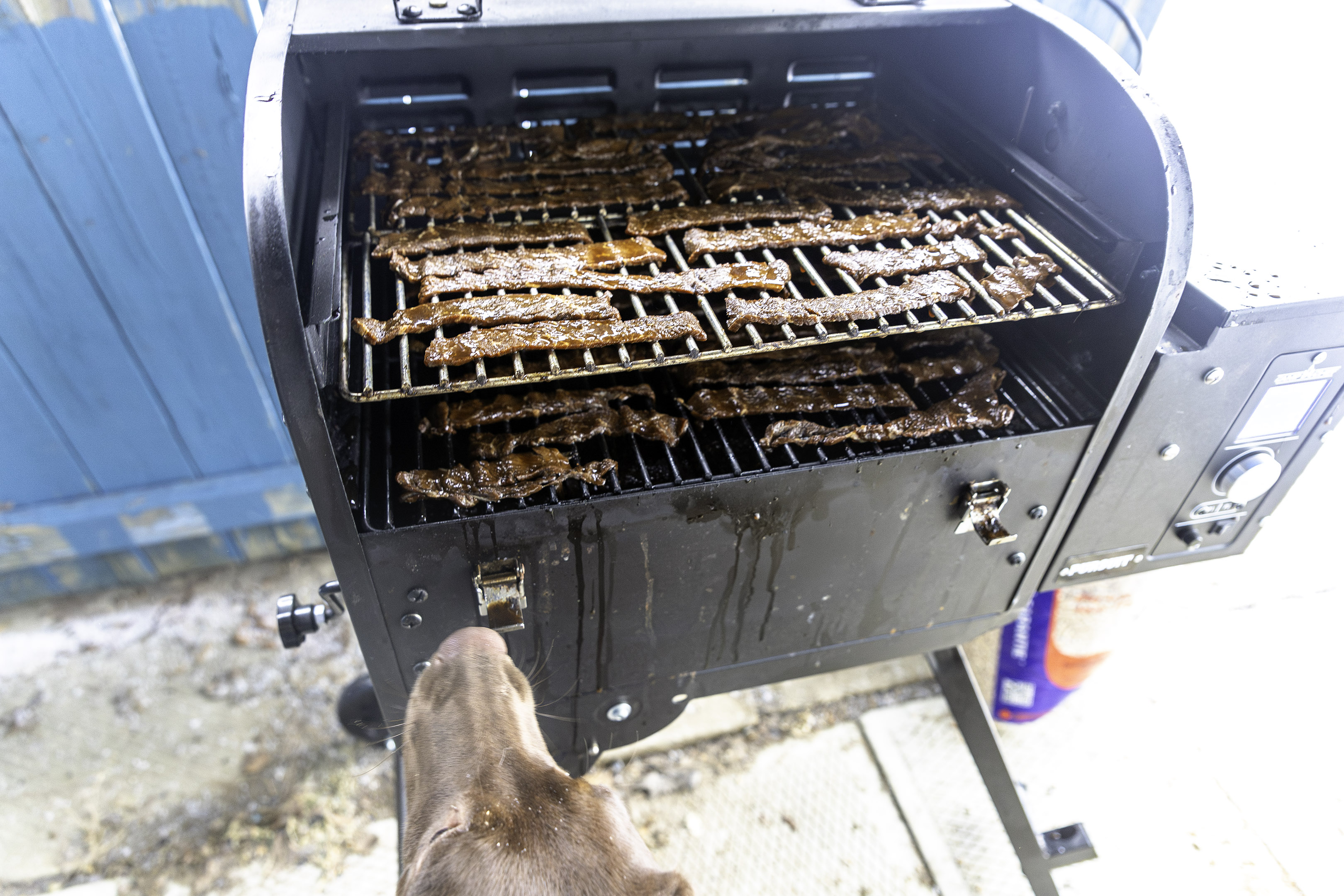 smoker_beef_jerky_strip