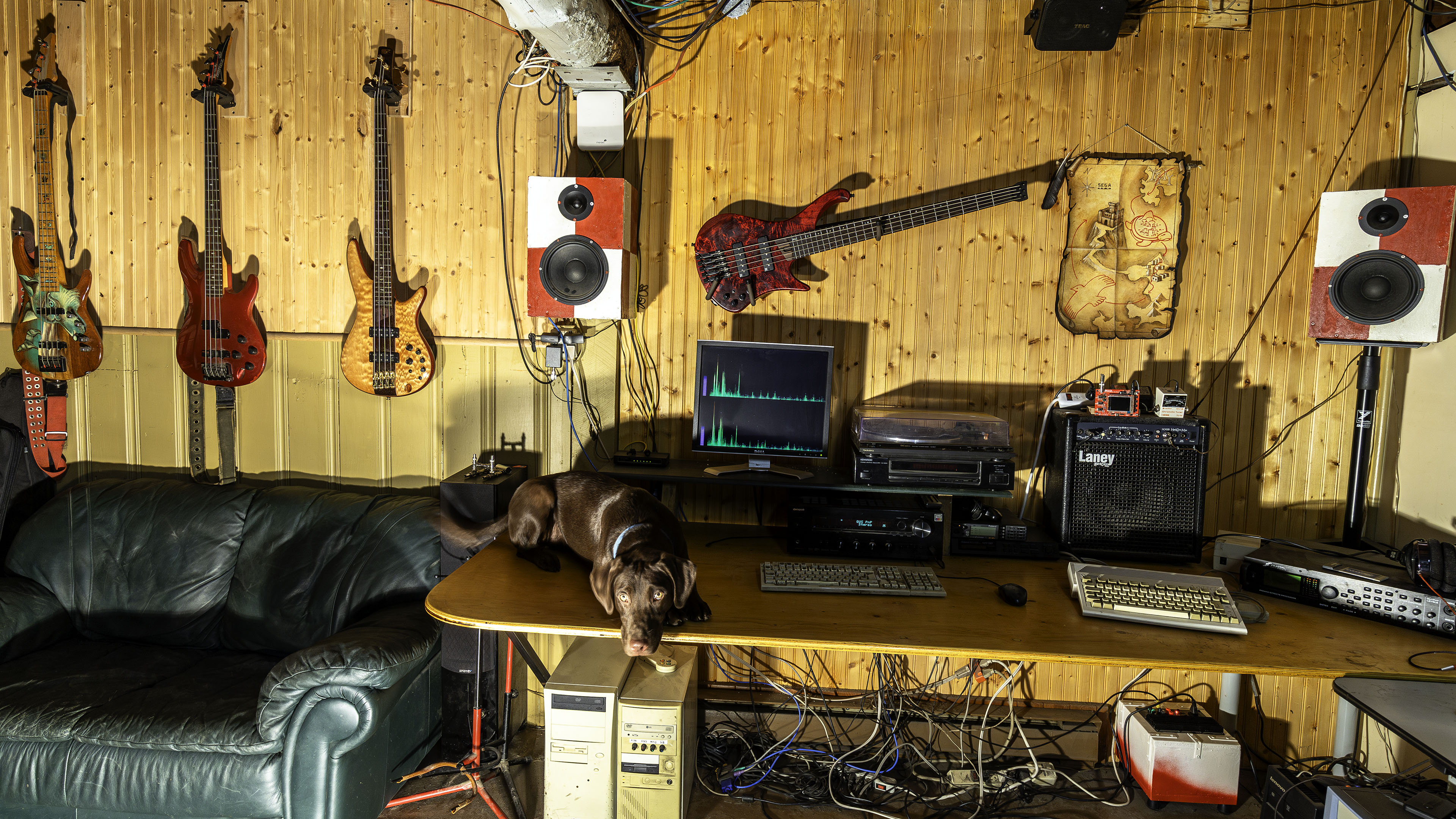 studio_5string_bass_taiga_basement