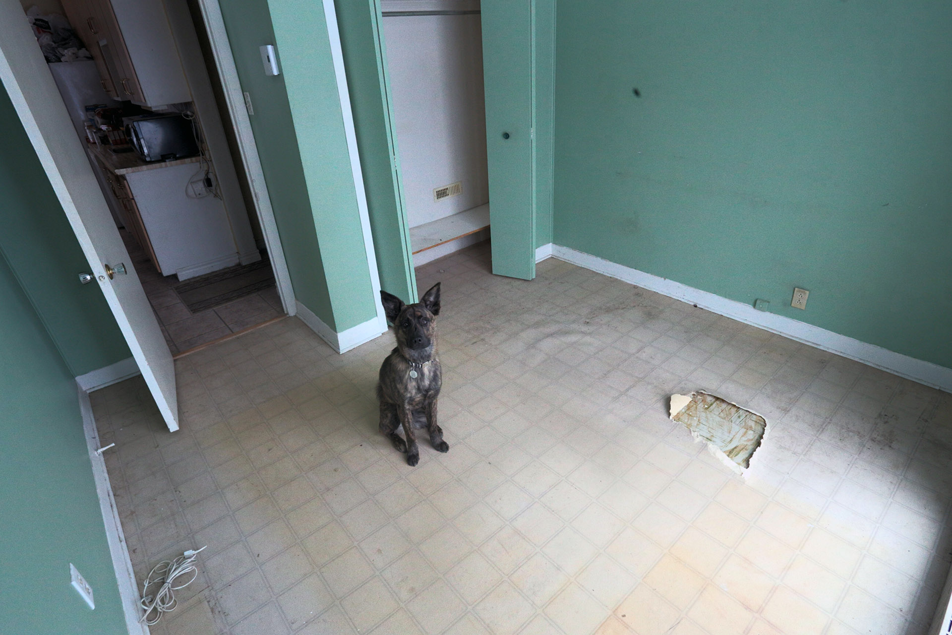 studio_empty_floor_linoleum