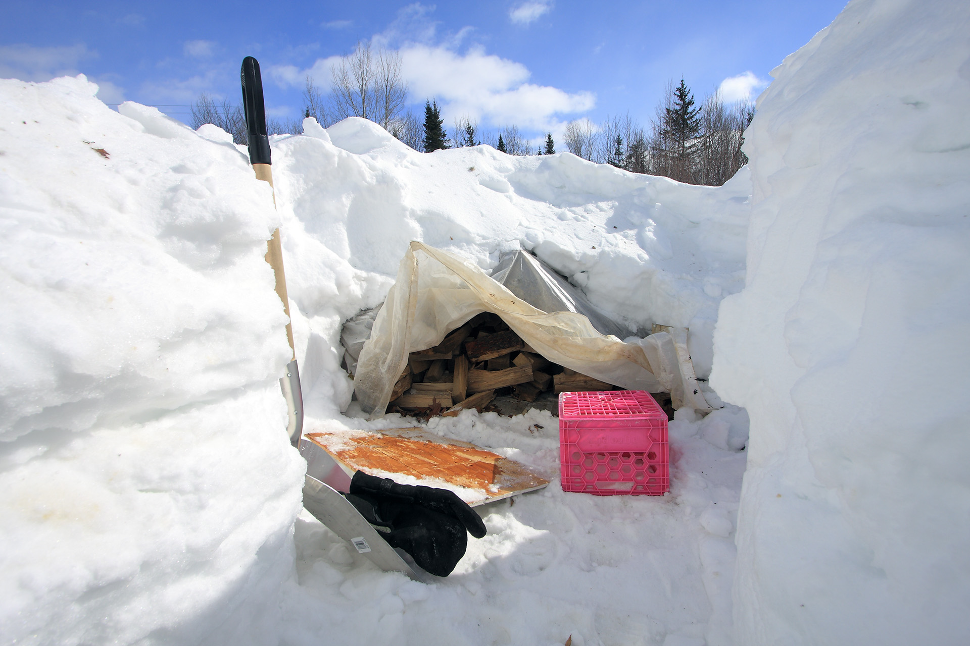 wood_stash_under_snow