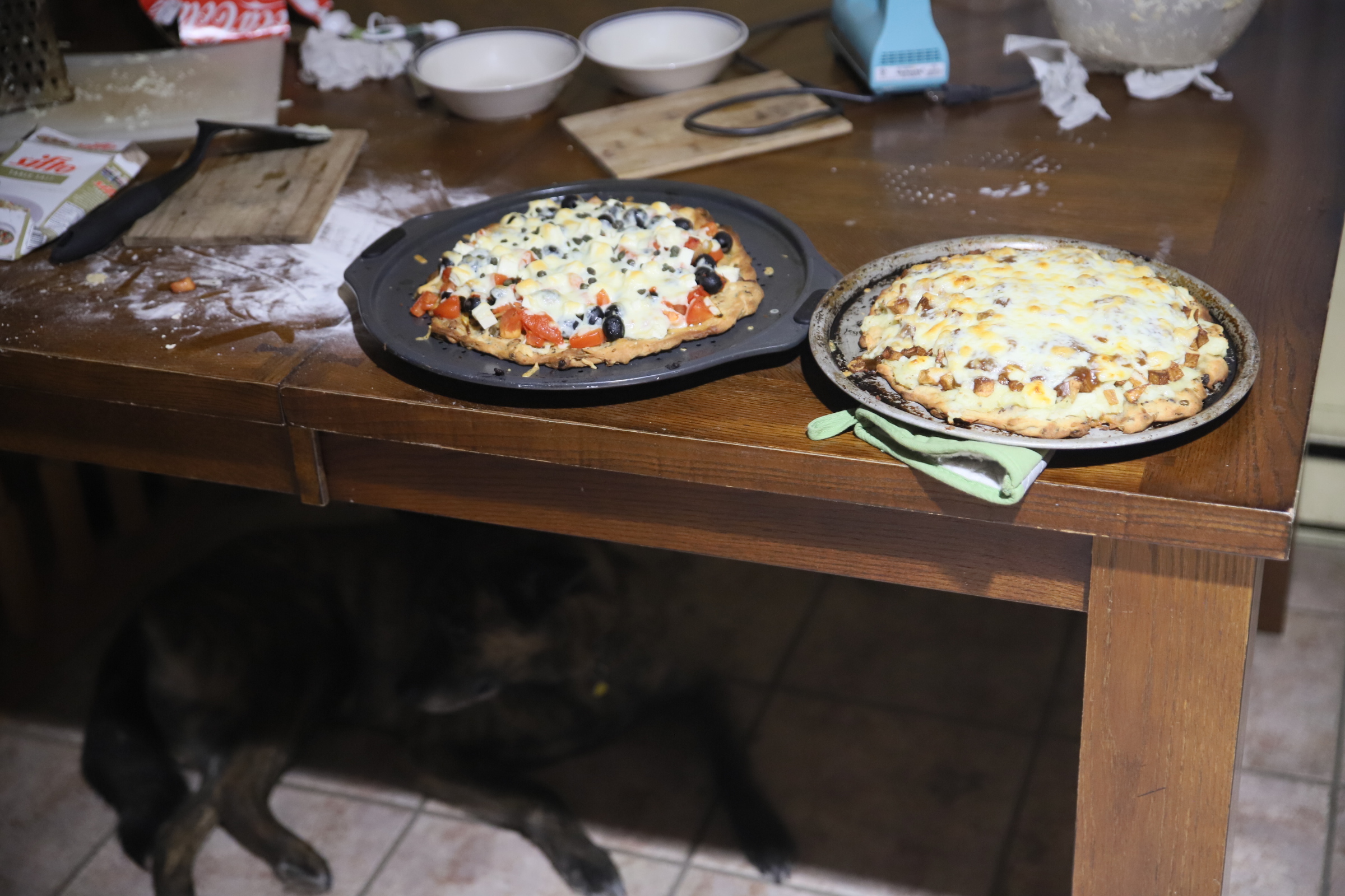 pizza_duo_dog