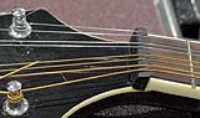 ebony_nut_mandolin