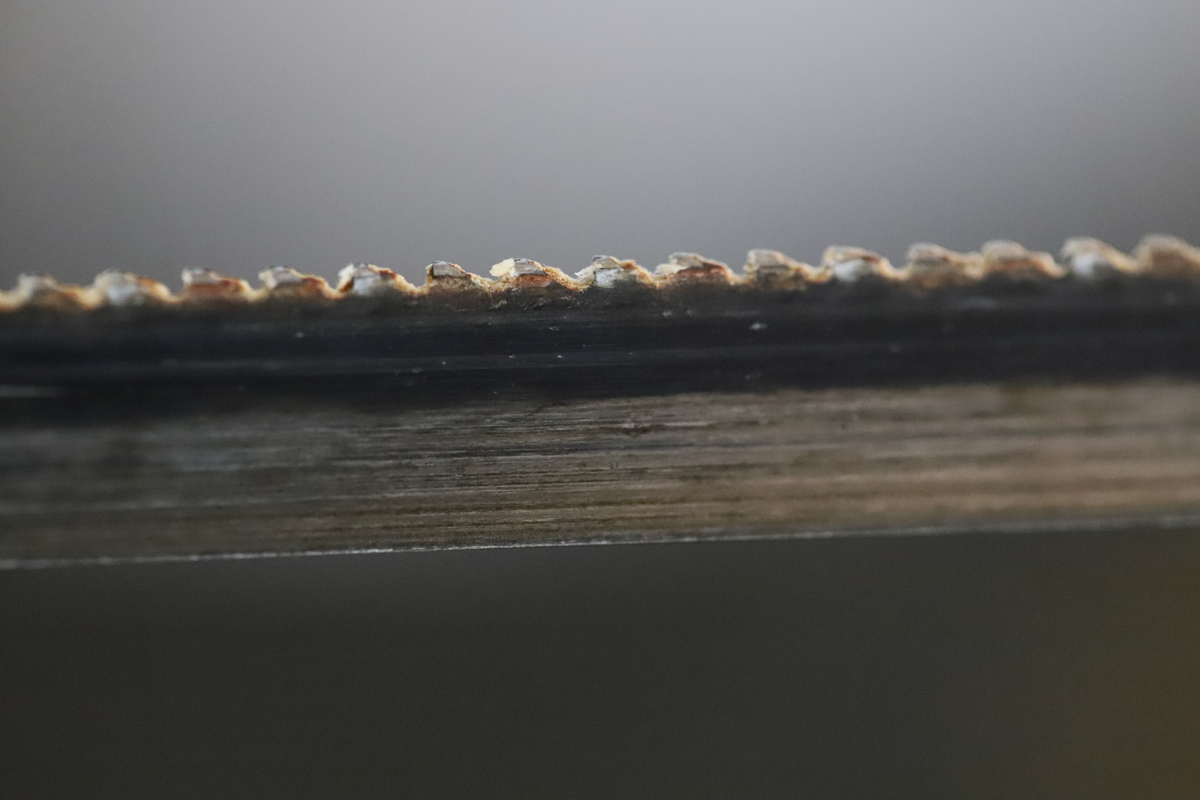 20230701191556_IMG_1811