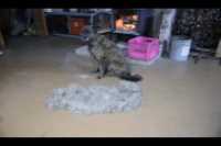 20220111225252_IMG_2133